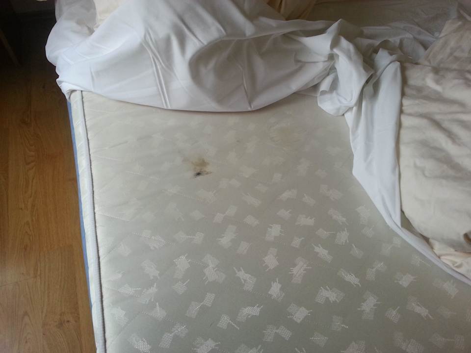 Bett mit Schimmel Hotel Goldener Hirsch