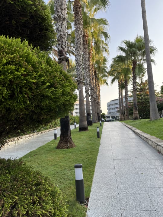 Gartenanlage Hotel Miramare Beach