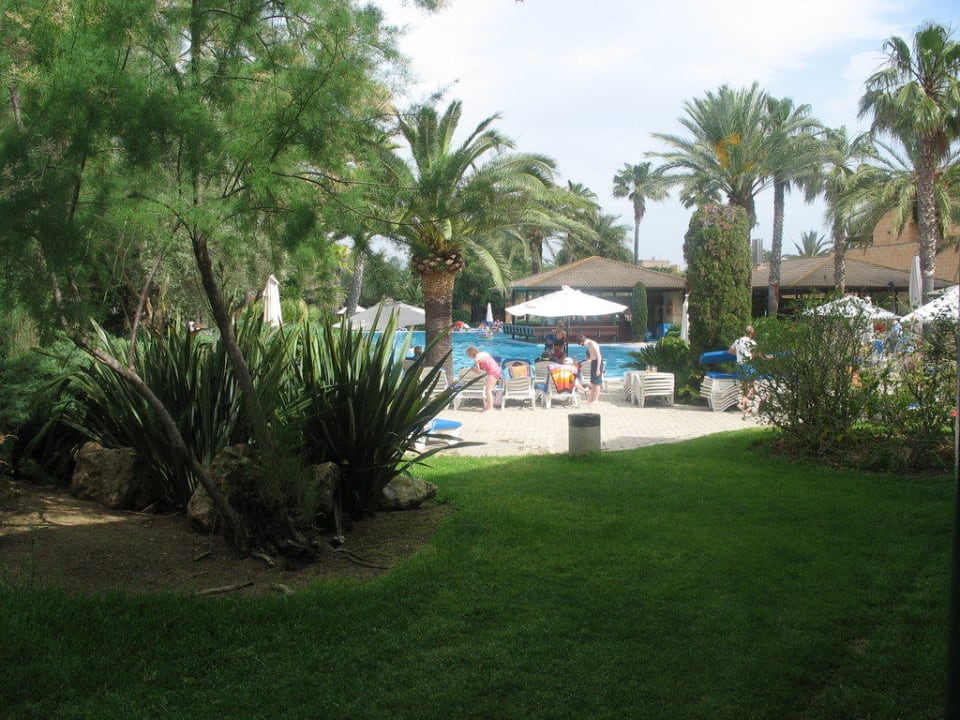 Blick zum Pool PortBlue Club Pollentia Resort & Spa