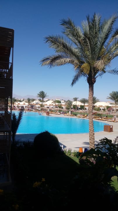 Außenansicht Desert Rose