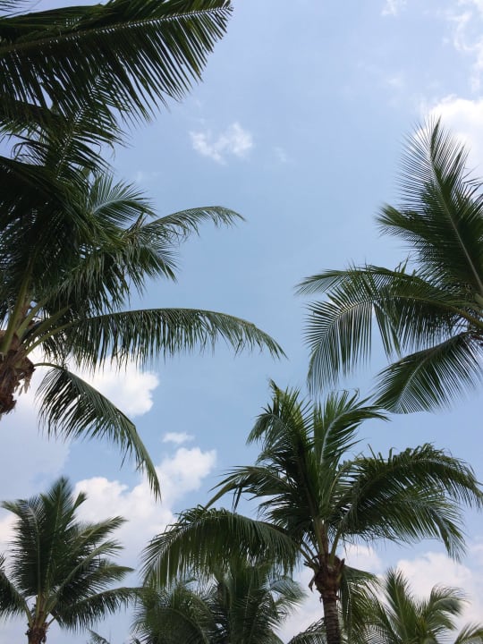 Blick von der Liege am Pool The Briza Beach Resort Khaolak