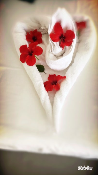 Zimmer Summer Village of Hippokrates - Adults only