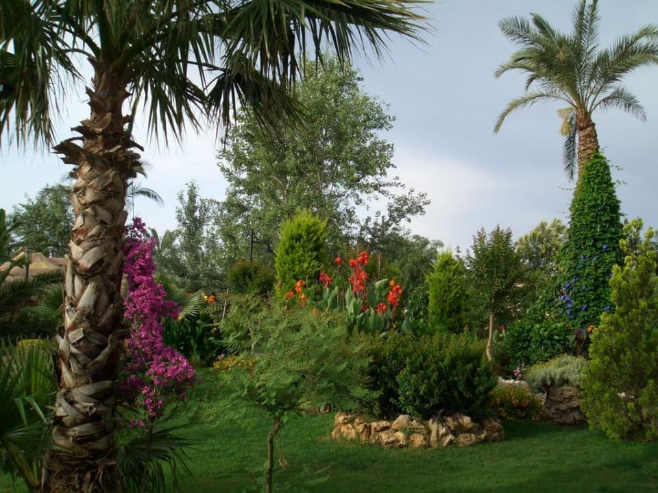 Immer gut Geplegt Belek Beach Resort Hotel