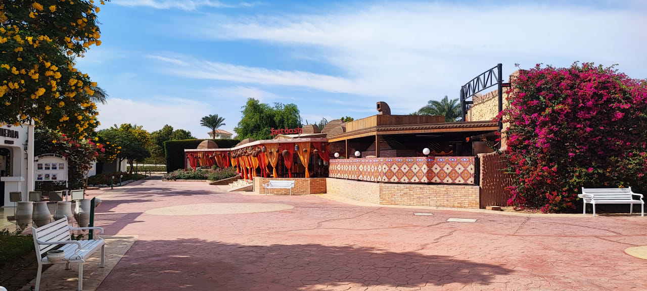 Sonstiges Desert Rose