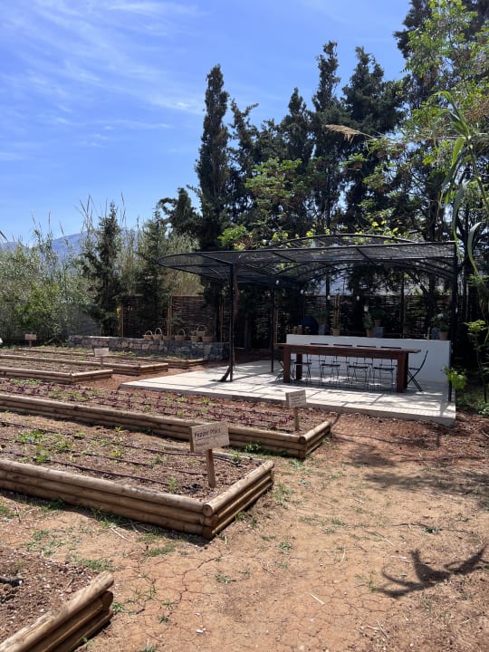 Gartenanlage Phãea Cretan Malia