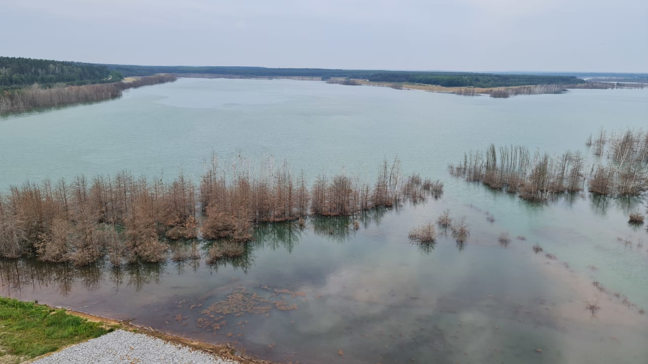 Ausblick Familienpark Senftenberger See