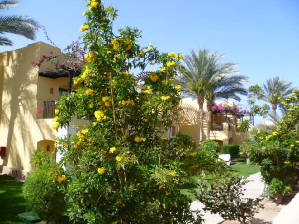 Zimmer zur Gartenseite Jaz Solaya