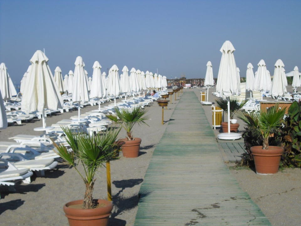 Freie Liegen Selectum Family Resort Side