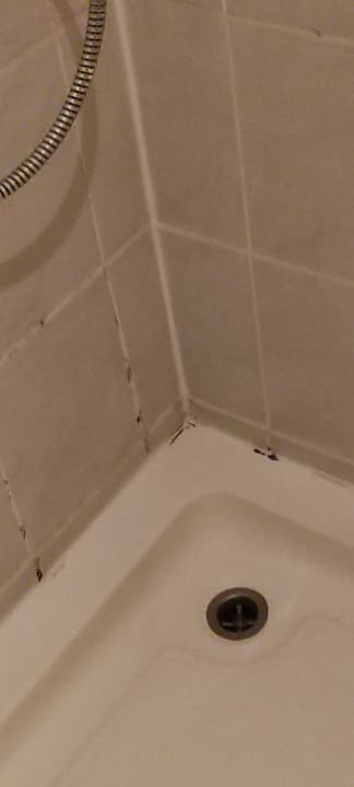 Zimmer Park Hotel Gastein