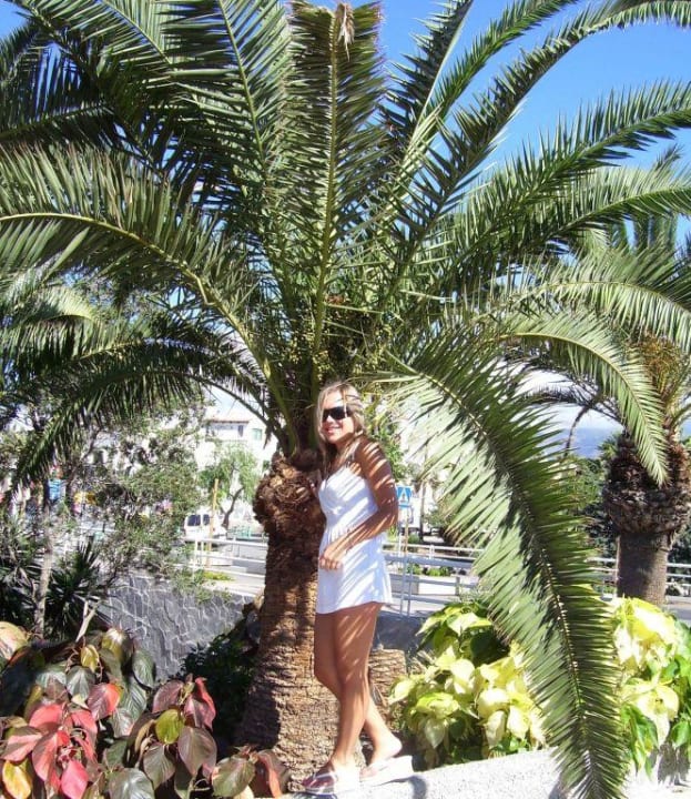 Roślinność Sol Tenerife