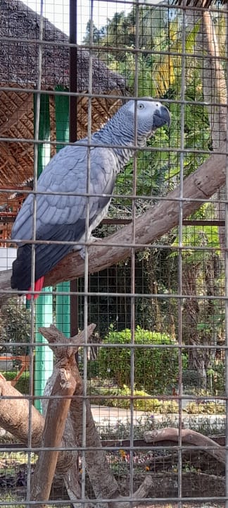 Sonstiges Hotel Kiwengwa Beach Resort