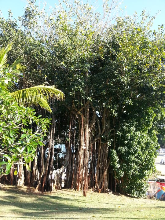 Gartenanlage Maritim Resort & Spa Mauritius