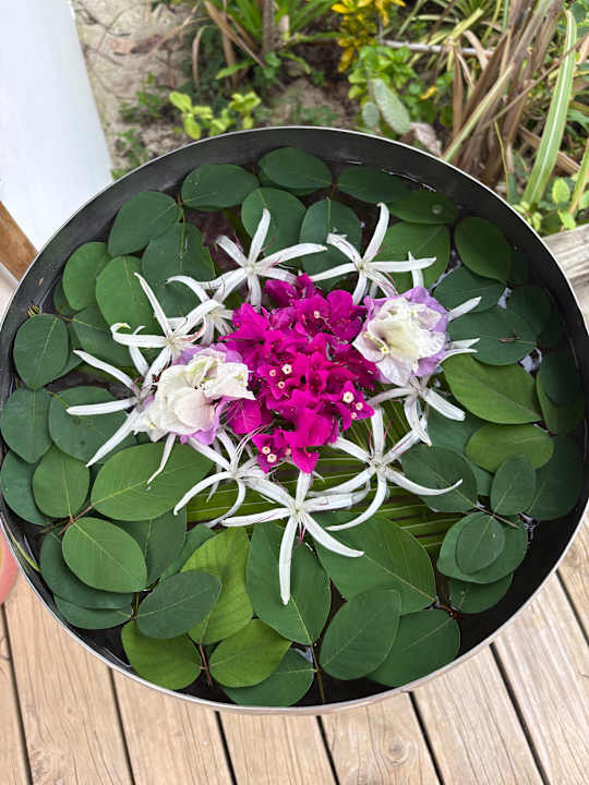 Gartenanlage OZEN LIFE MAADHOO