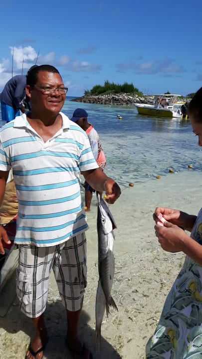 Sonstiges Guesthouse Cabanes des Anges
