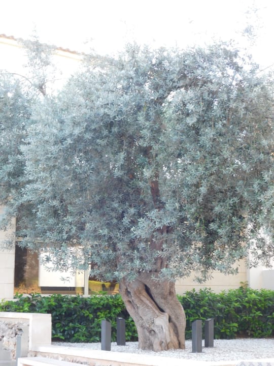 Sonstiges Protur Floriana Resort Aparthotel