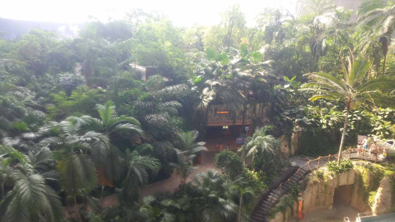 Urwald Tropical Islands Resort
