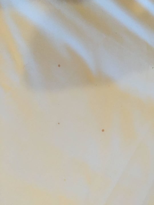 Beispiele vom Zustand Stella Beach Resort & Spa Makadi Bay