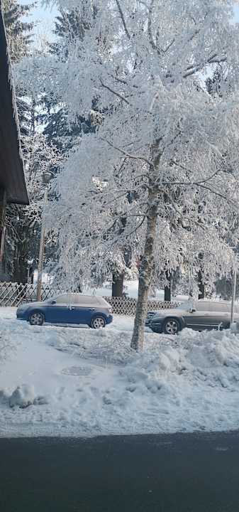 Außenansicht Best Western Ahorn Hotel Oberwiesenthal - Adults only