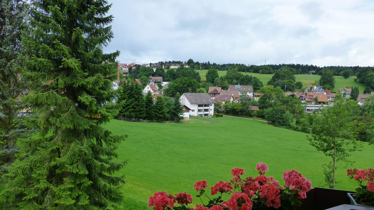  R  ckw  rtiger Talblick vom Cafe  Wellness Hotel Talblick  Sch  mberg