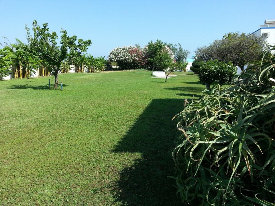 Teil der Gartenanlage Hotel Tigaki's Star