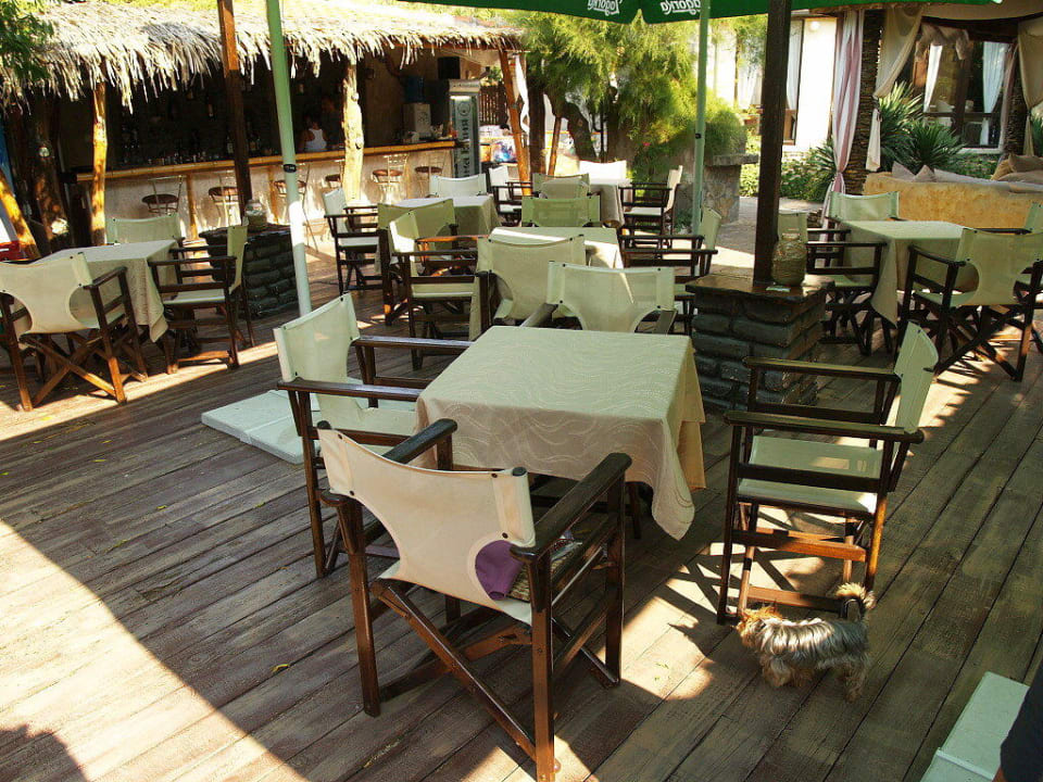 Zahradní bar Piranha - prostor pro snídaně Coral Hotel