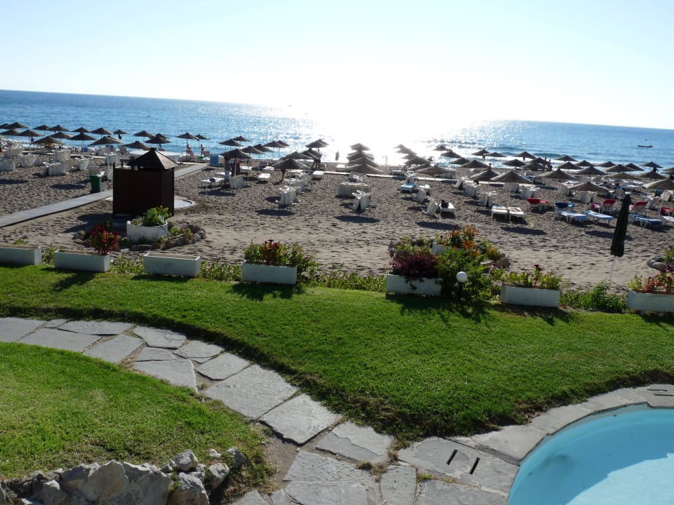Blick von Poolbar auf Strand Hotel Calypso Beach