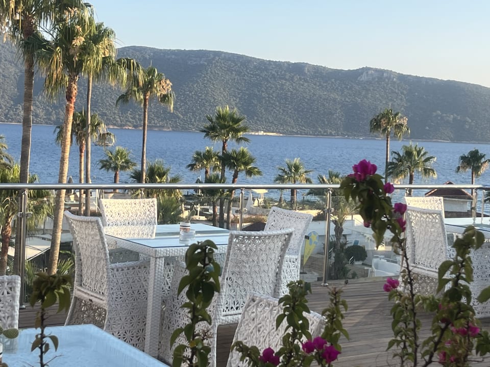 Ausblick TUI MAGIC LIFE Bodrum - Adult Only (16+)