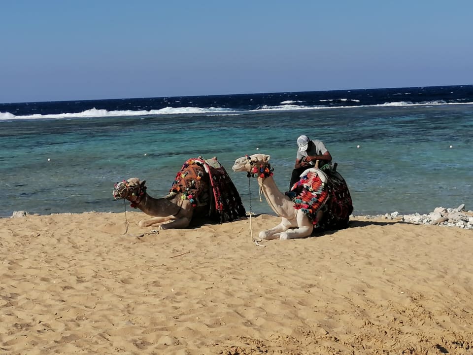 Strand Lazuli Hotel Marsa Alam