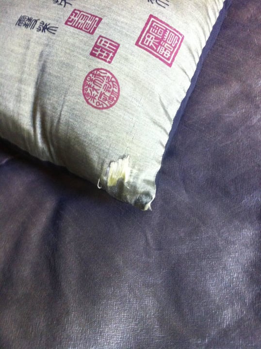 Kissen, angeknabbert? Quentin Design Hotel Berlin