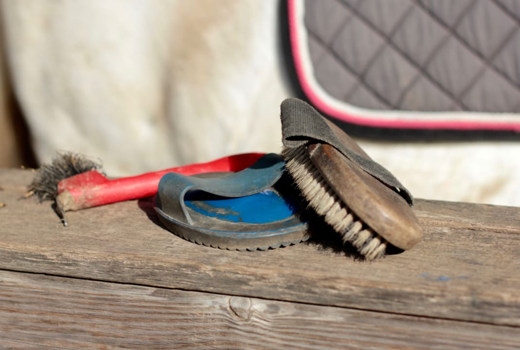 Sonstiges Ponyhof Meier