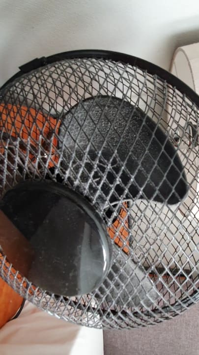 Zimmer Select Hotel Friedrichshafen