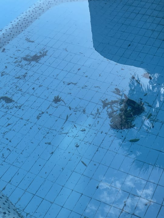 Pool Monachus Family Resort Sorgun