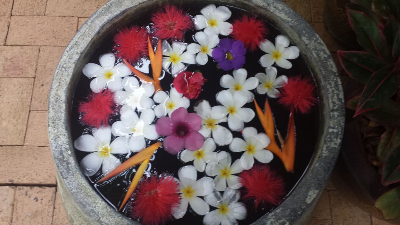 Bhandari Khaolak Bhandari Resort & Spa