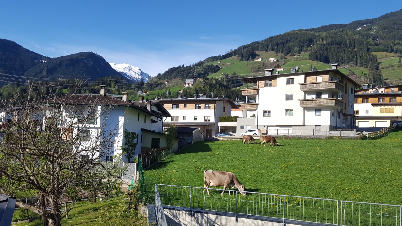 Ausblick Wohlfühlhotel Schiestl