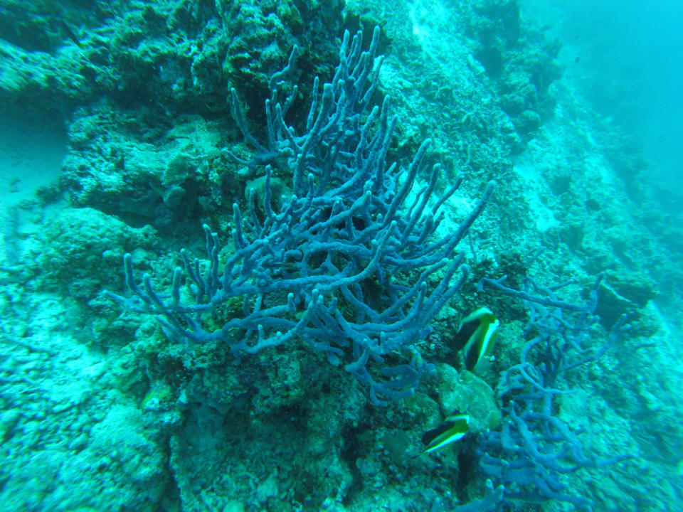 Sport & Freizeit Safari Island Maldives