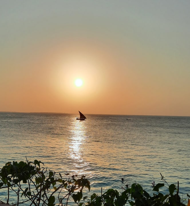Ausblick Hotel Riu Palace Zanzibar