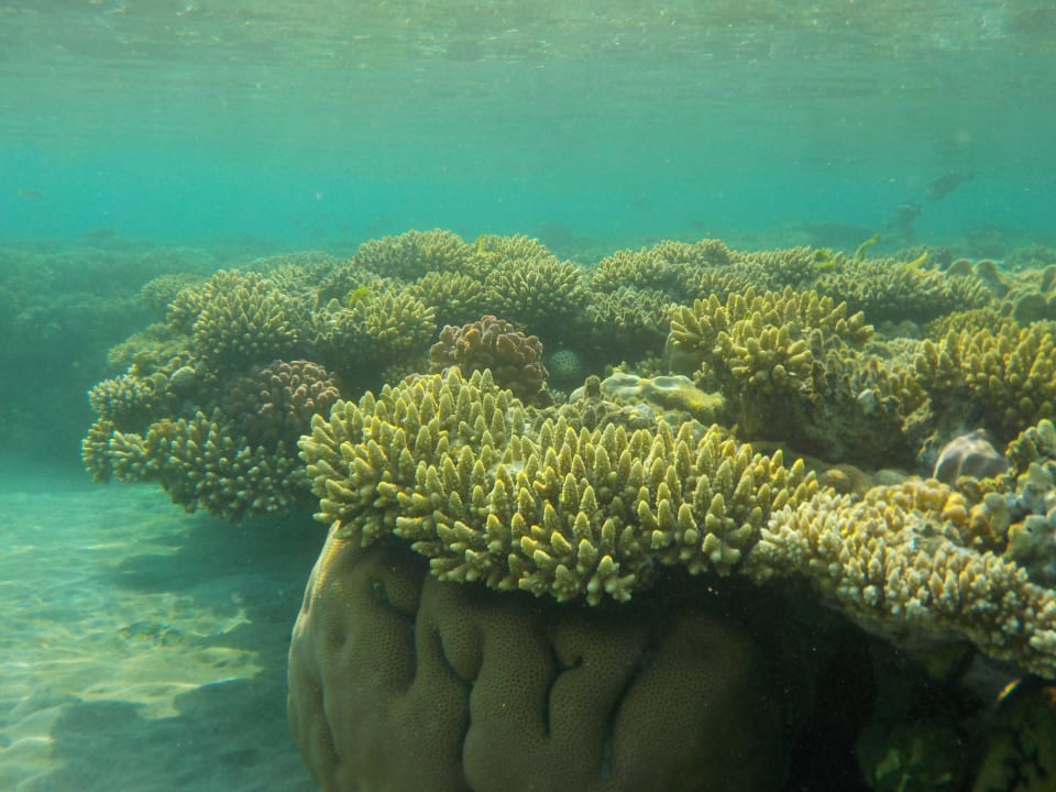 2016 Shams Alam Beach Resort