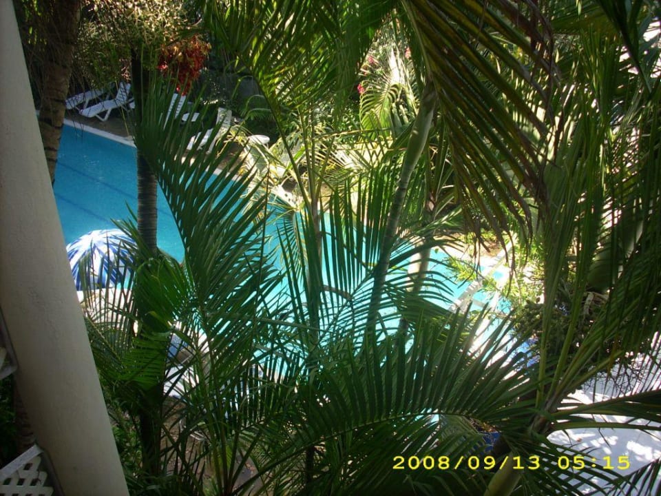 Blick zum Pool Hotel Romanoff