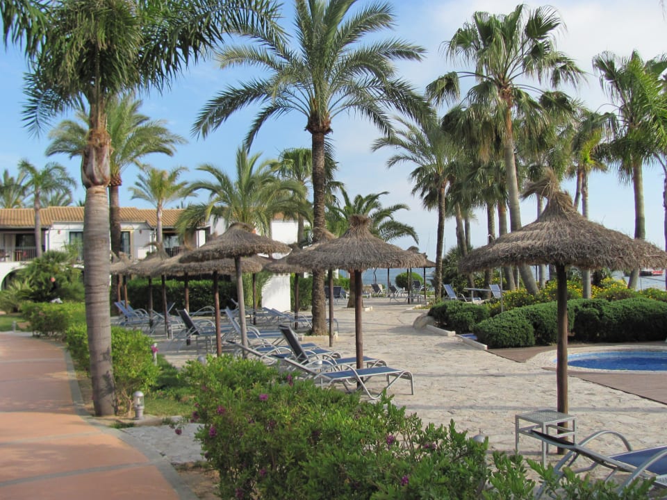 Liegen und Schirme am Pool Botel Alcudiamar