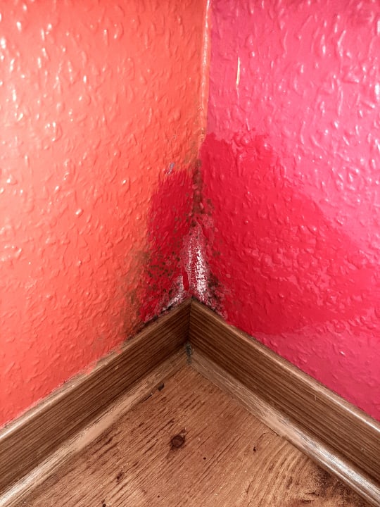 Zimmer Center Parcs Park Bostalsee