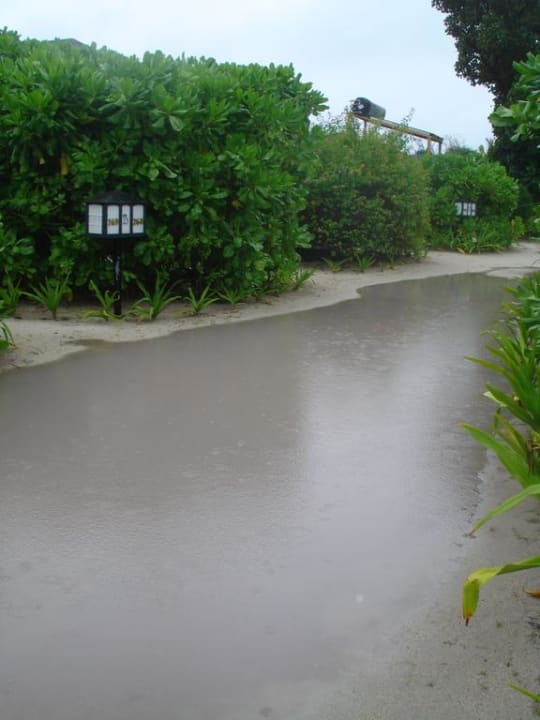 Regen Kuredu Island Resort & Spa