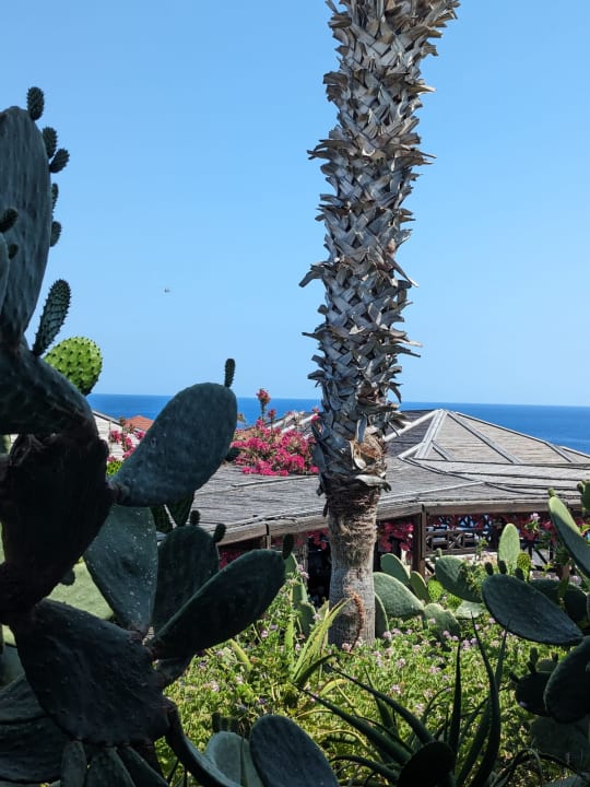 Gartenanlage Hotel Kalithea Horizon Royal