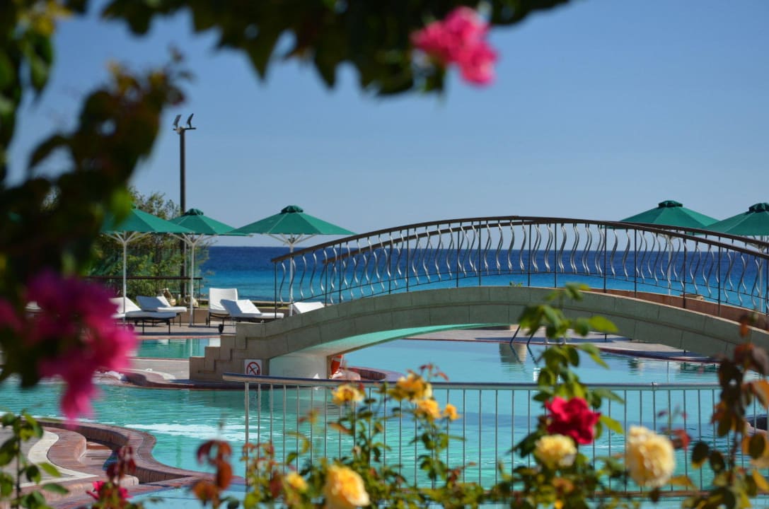 Pool mit Meer im Hintergrund Lindian Dream Seaside Resort