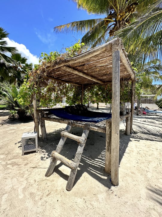 Gartenanlage Spice Island Hotel & Resort