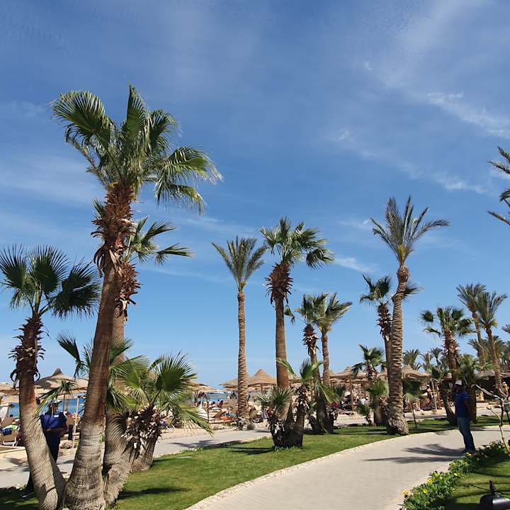 Gartenanlage Jaz Makadi Oasis Resort