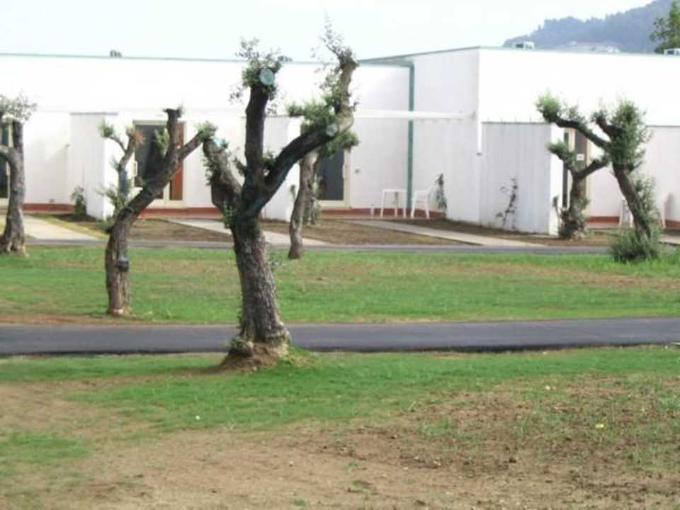 Aussenanlage = Baustelle Club Esse Sunbeach