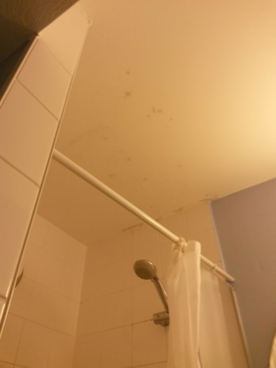 Schimmel B&B Hotel Hannover-Nord