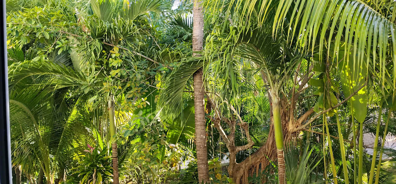 Zimmer Viva Azteca by Wyndham - All Inclusive Resort