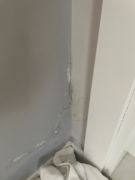 Zimmer Selectum Family Comfort Side