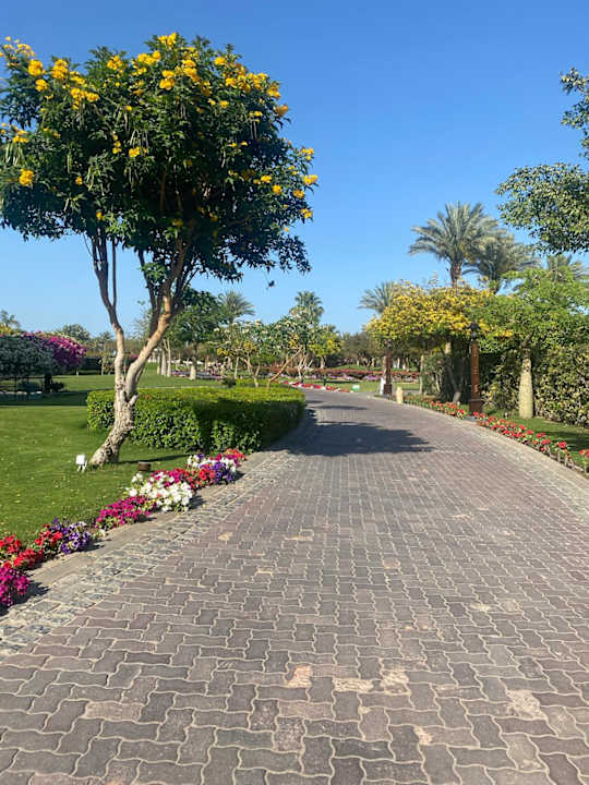 Strand Steigenberger Aqua Magic